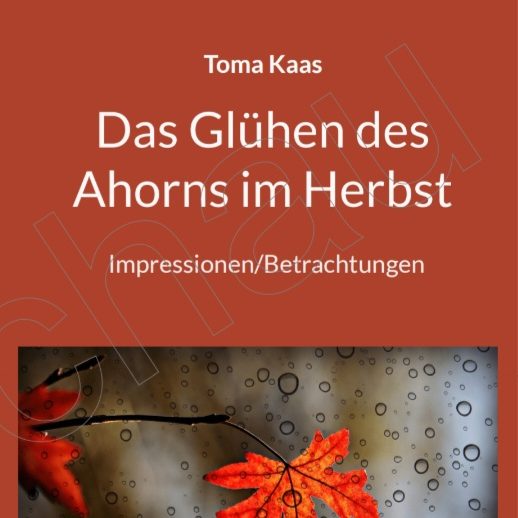Korrektur Gedichte